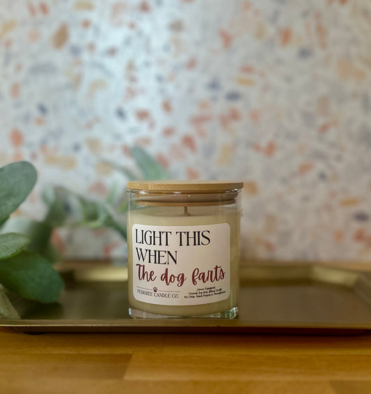 Light This When The Dog Farts Candle