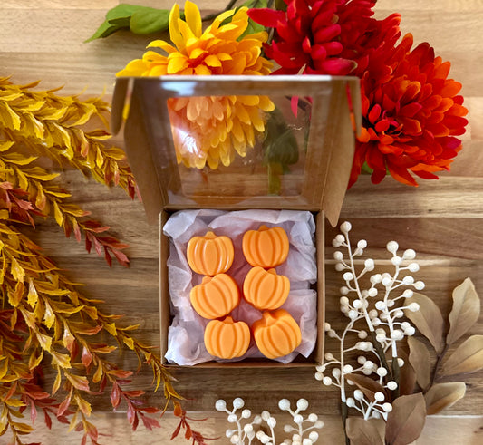 Mini Pumpkins Wax Melts